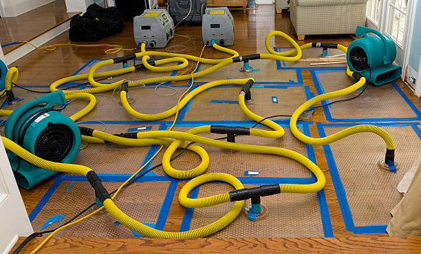 Professional Water Extraction technician working in Medford, MA